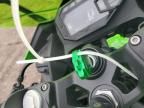 2025 Kawasaki EX500 H