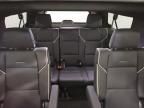 2025 Cadillac Escalade ESV Sport