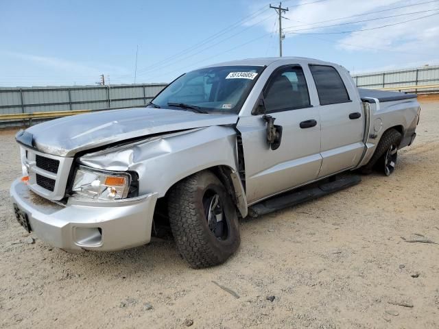 2010 Dodge Dakota SXT
