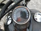 2020 Harley-Davidson Flsl
