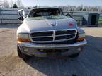 2004 Dodge Dakota Quad SLT