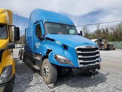 Salvage trucks for sale at York Haven, PA auction: 2023 Freightliner Cascadia 126 Semi Truck
