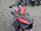 2024 Ducati Monster