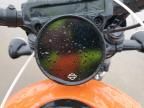 2024 Harley-Davidson RH975 S