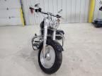 2004 Harley-Davidson Flstf