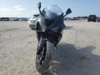 2024 Kawasaki ZX636 K