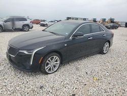 Cadillac salvage cars for sale: 2023 Cadillac CT4 Luxury