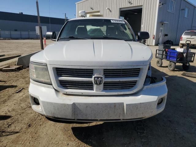 2010 Dodge Dakota SXT