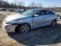 Hyundai Sonata salvage cars for sale: 2013 Hyundai Sonata SE