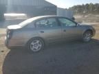 2003 Nissan Altima Base