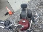 2005 Harley-Davidson XL1200 C