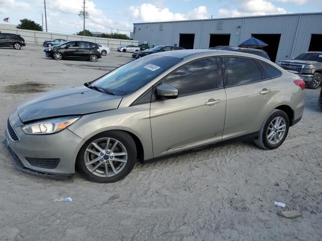 2016 Ford Focus SE