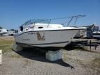 1999 Seaswirl Boat