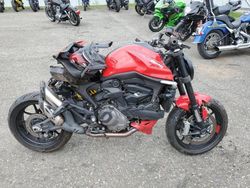 Ducati Monster salvage cars for sale: 2024 Ducati Monster