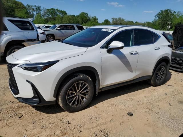 2025 Lexus NX 250 Premium
