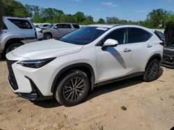2025 Lexus NX 250 Premium en venta en Theodore, AL
