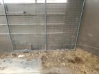 2014 Calico Livestock Trailer