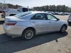 2009 Toyota Camry Hybrid