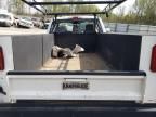 2023 Ford F250 Super Duty