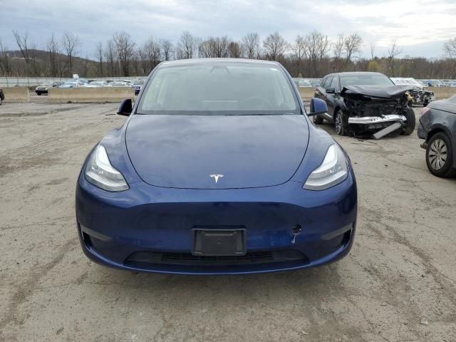 2020 Tesla Model Y