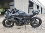 2024 Kawasaki EX650 R