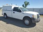 2010 Ford F150