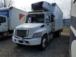 Salvage trucks for sale at Davison, MI auction: 2016 Hino 258 268