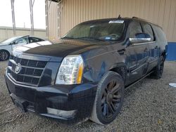2012 Cadillac Escalade ESV Premium for sale in Kansas City, KS