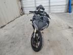 2024 Cf Moto 450SS