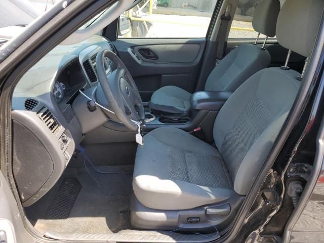 2007 Ford Escape XLT
