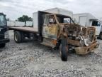 1995 Ford F800