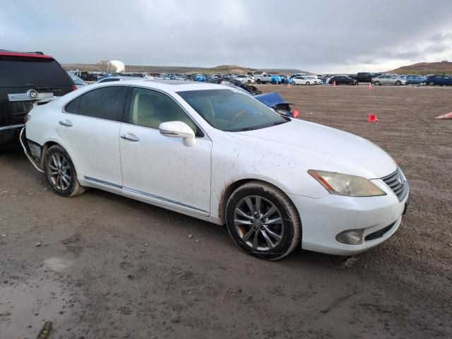 2010 Lexus ES 350