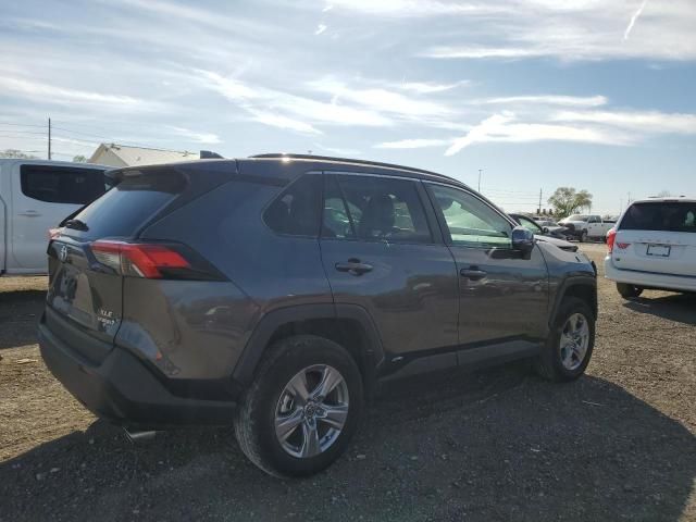 2024 Toyota Rav4 XLE