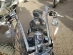 2006 Harley-Davidson Flstni