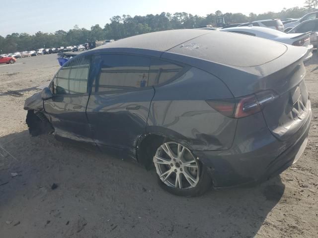 2020 Tesla Model Y