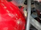 2001 Honda CBR900 RR