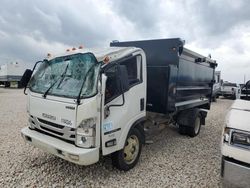 2023 Isuzu NPR HD en venta en Temple, TX