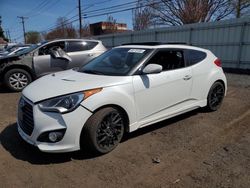 Hyundai Veloster salvage cars for sale: 2013 Hyundai Veloster Turbo