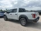 2017 Ford F150 Raptor