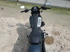 2025 Harley-Davidson Fxlrs