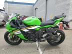 2025 Kawasaki ZX636 K