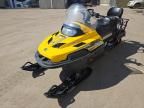2010 Skidoo 2010 Skidoo Skandic