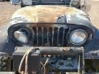 1975 Jeep Jeep CJ5