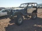 1975 Jeep Jeep CJ5