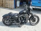 2013 Harley-Davidson XL883 Iron 883