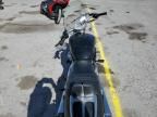 2012 Harley-Davidson Vrscf Vrod Muscle