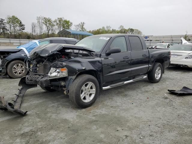 2010 Dodge Dakota SXT
