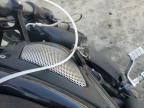 2008 Harley-Davidson Vrscdx