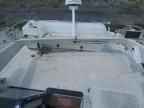 1989 Wells Cargo 1989 Wellcraft Boat