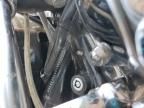 2004 Harley-Davidson Fxstdi